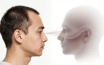 The Hair Loss and Prostate Cancer Connection
