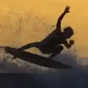 شيماء محمود