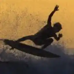 شيماء محمود