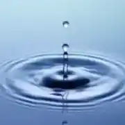 حكيم مروى