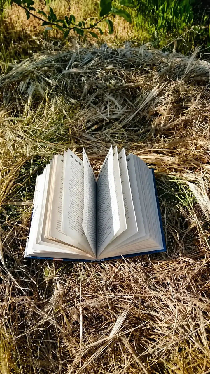 7 طرق هادئة للتمتع بالقراءة في الهواء الطلق هذا الموسم